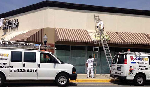 Life Is Too Short to Have Boring Walls